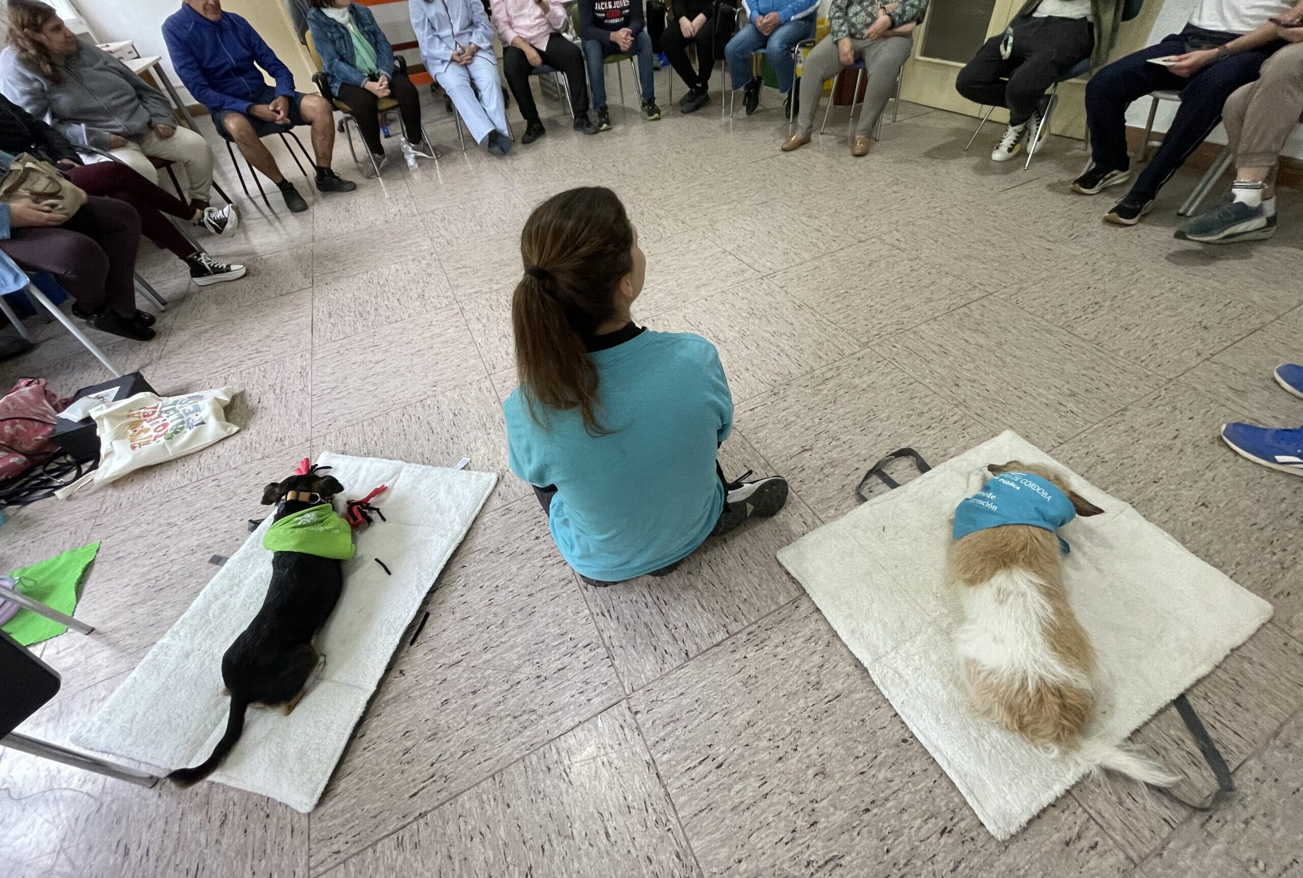 Intervenciones asistidas con perros