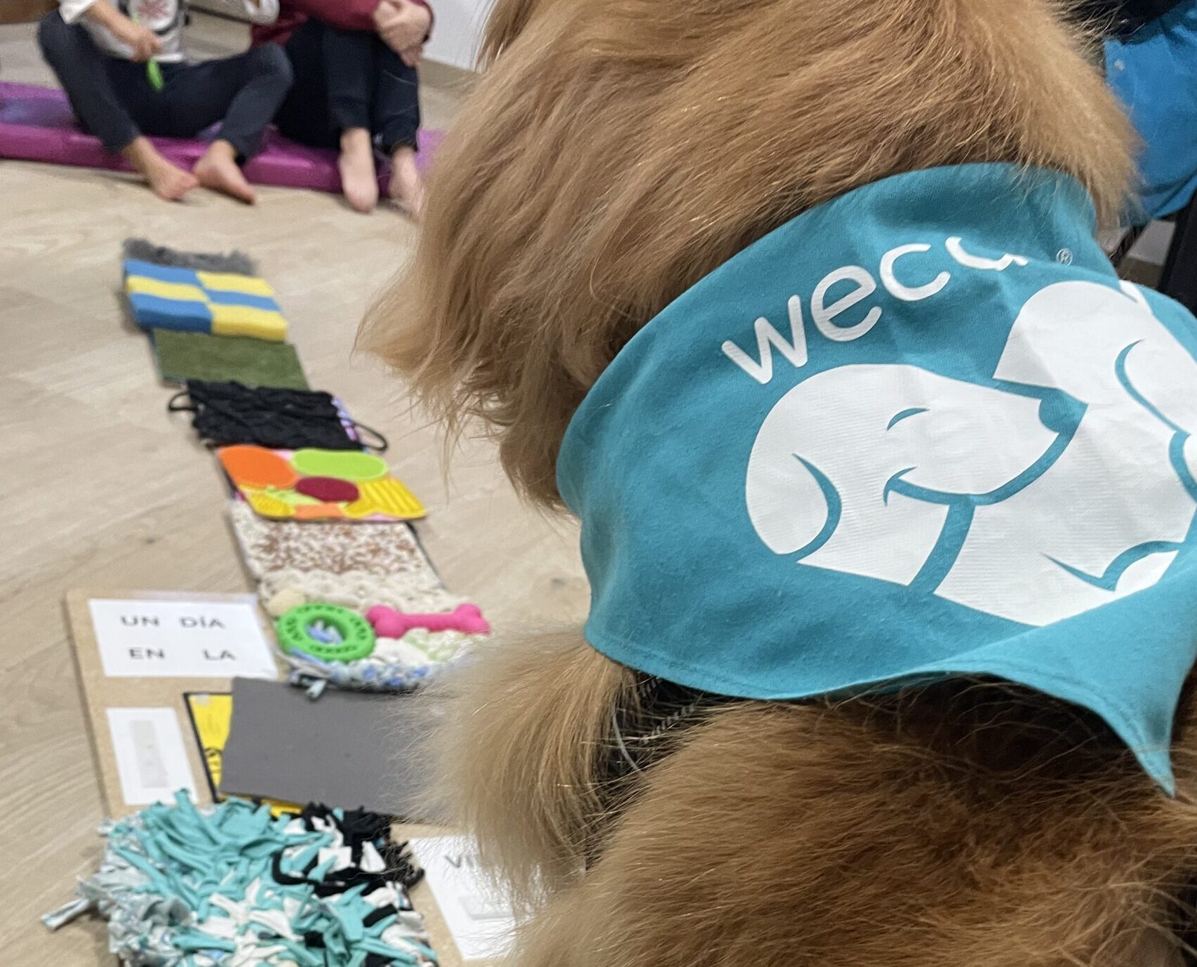 educación asistida con perros en escuelas