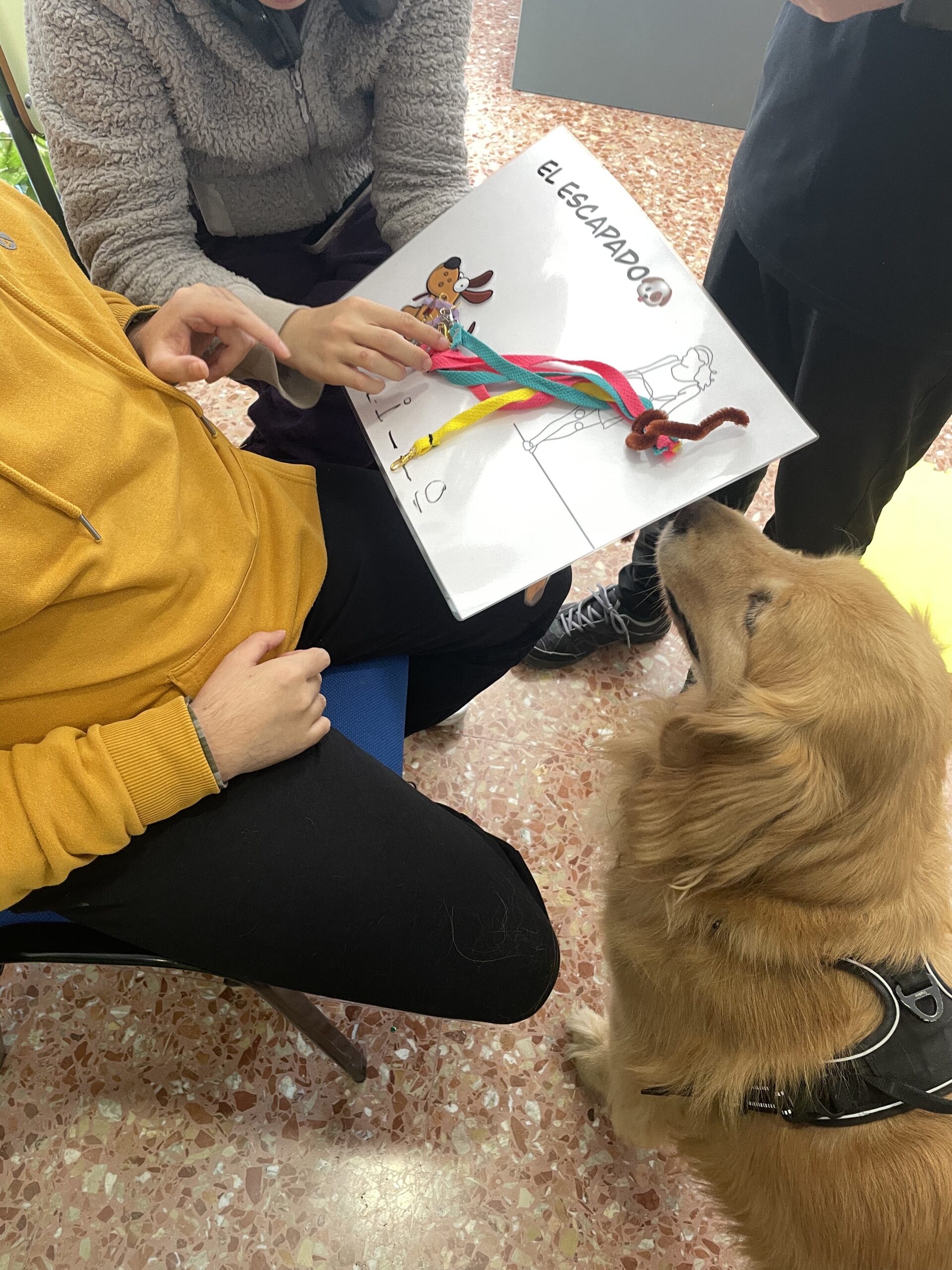 Intervención asistida para diversidad funcional